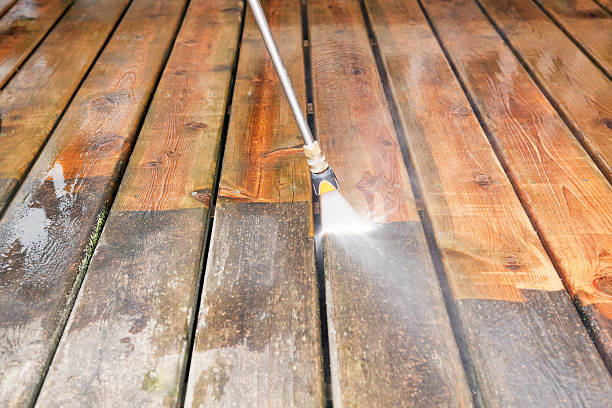 Best Residential Pressure Washing Services  in Albion, IN